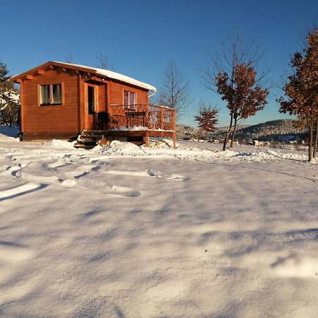 Le Chalet Des Etoiles Champagnac-le-Vieux Εξωτερικό φωτογραφία