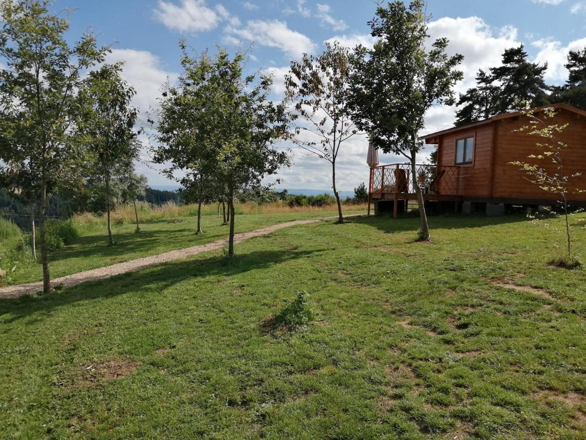 Le Chalet Des Etoiles Champagnac-le-Vieux Εξωτερικό φωτογραφία