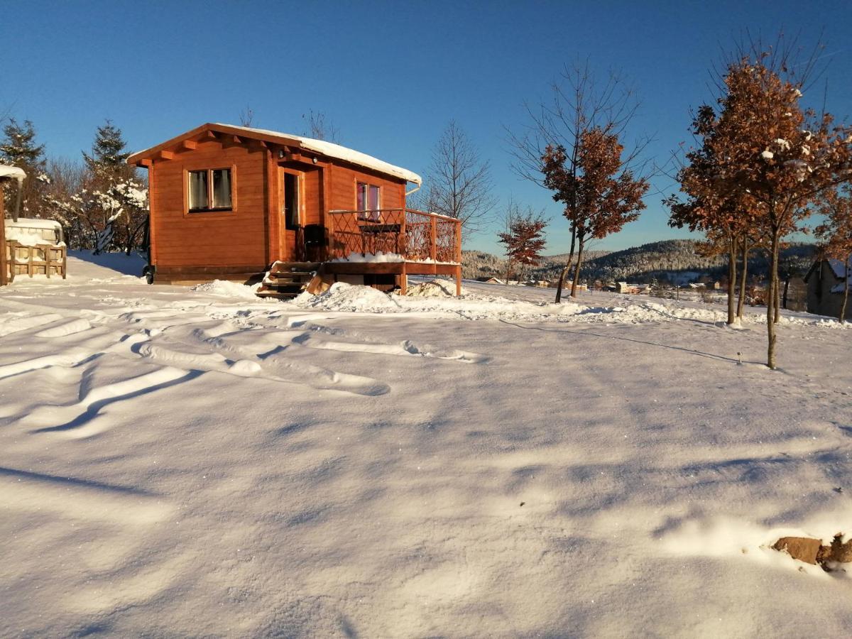 Le Chalet Des Etoiles Champagnac-le-Vieux Εξωτερικό φωτογραφία